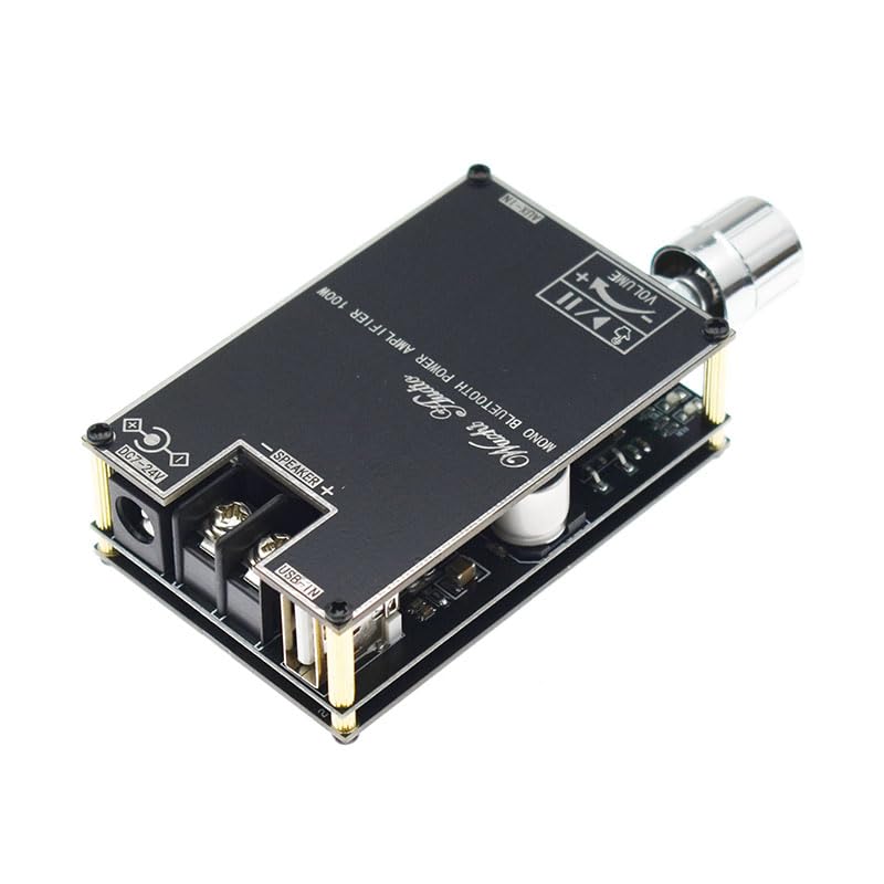 YOURRYONG US 2pcs 100W Audio Amplifier Module