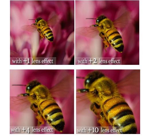 Hi Def 4-Pcs +1/+2/+4/+10 Close-Up Macro Lens for Nikon Z7 Z6 Z-7 Z-6 (72mm Compatible)
