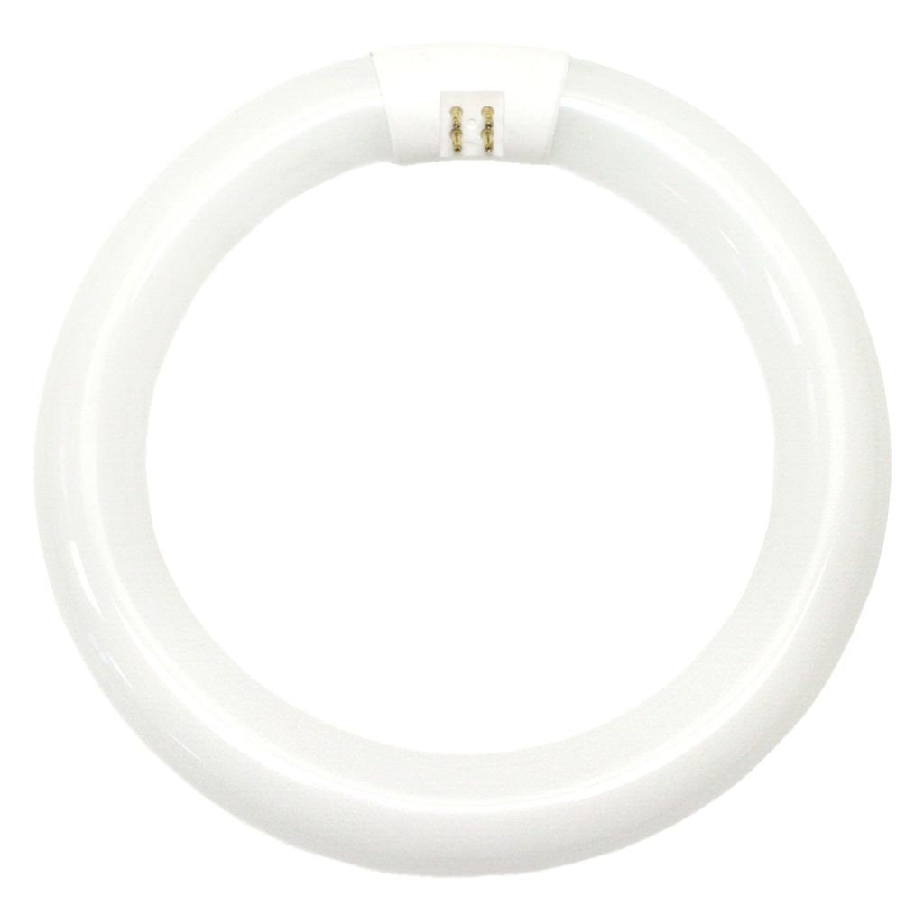 WESTINGHOUSE LIGHTING 601000 22W CW Fluo Ring Bulb