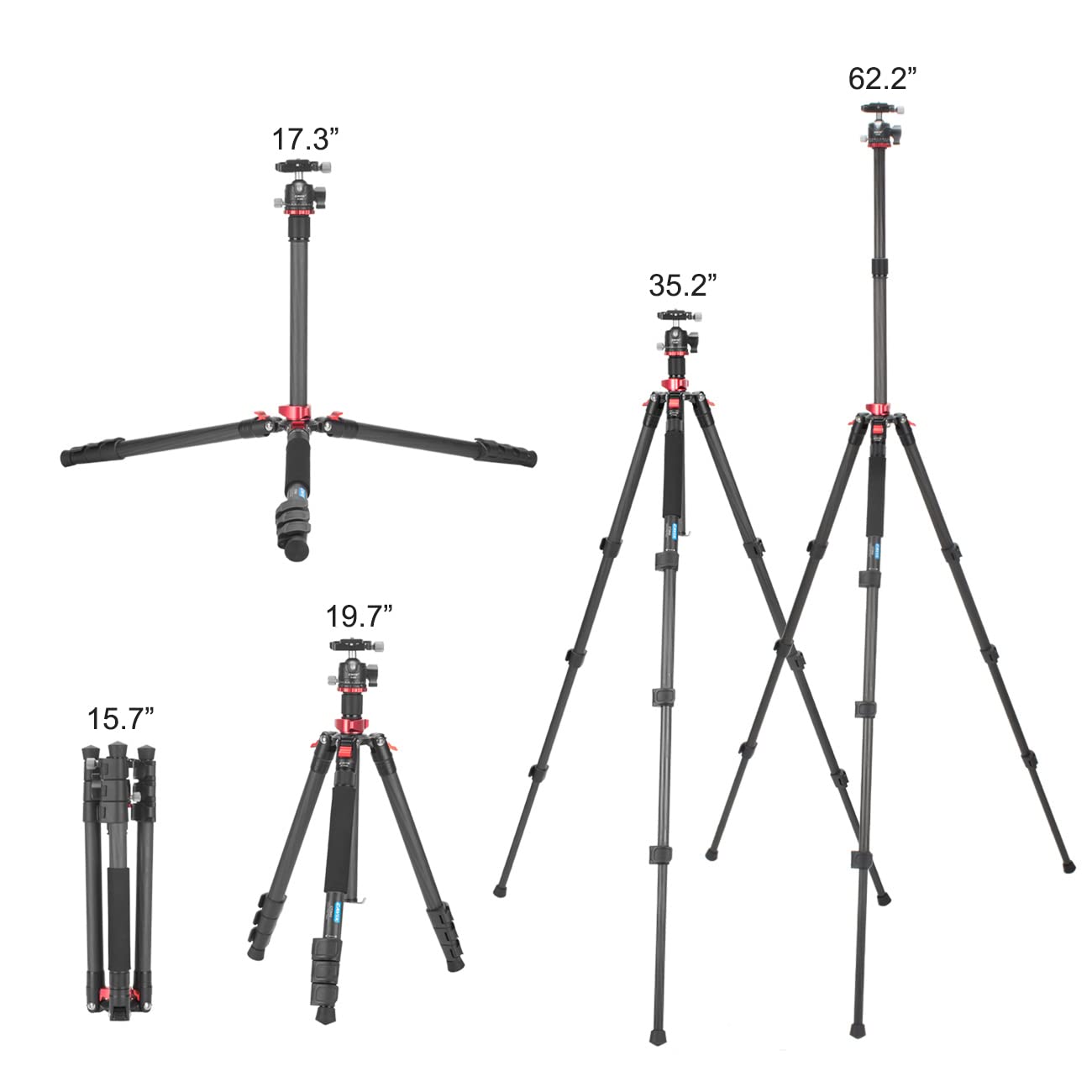 CAVIX Professional 62" Carbon Fiber Camera Tripod, Tripod & Monopod 2 in 1, Lightweight Travel Tripod with 360° Ball Head, Arca Quick Release, 22lb
