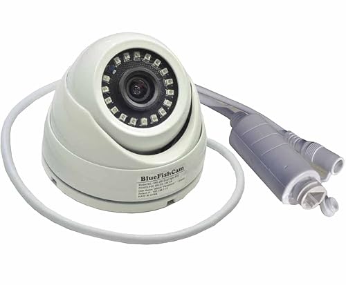 BlueFishCam Wired Dome PoE IP Camera 4MP POE Dome Network Camera Outdoor CCTV Infrared IP(2.8mm)