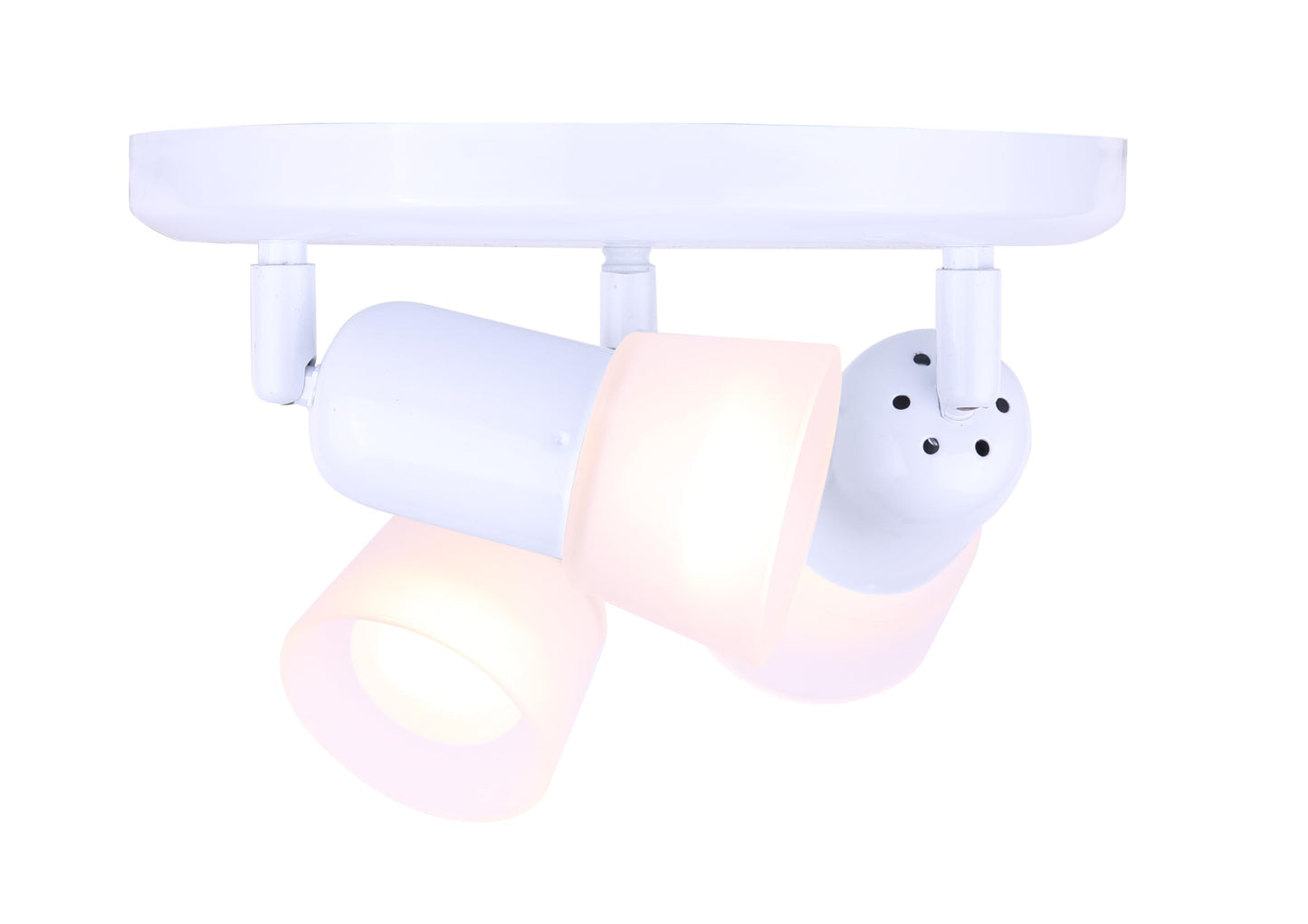 CANARM ICW5311 Ceiling/Wall Omni 3 Light
