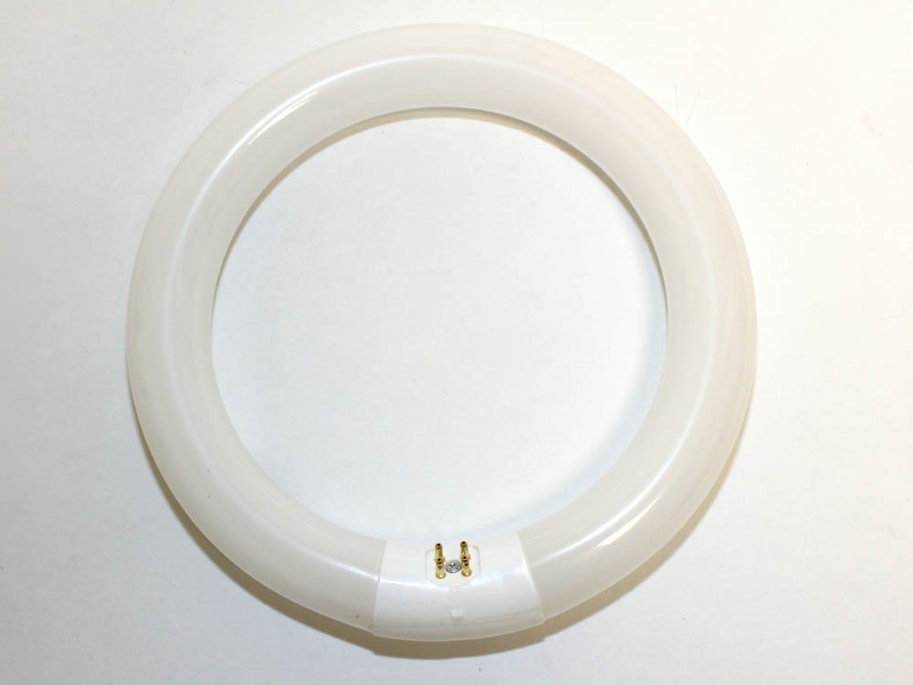 ProLume FC8T9CW 37501 22W Fc8 T9 8" Circline Cool White Fluorescent Tube Light Bulb