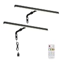 Pasoar 2 Pack Picture Lights for Paintings Plug in, 16" 4W Adjustable LED Picture Light Art Light with Timer, Remote Control Gallery Wall Light