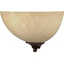 Nuvo Lighting 60/044 Transitional One Light Vanity from Tapas Collection in Bronze/Dark Finish