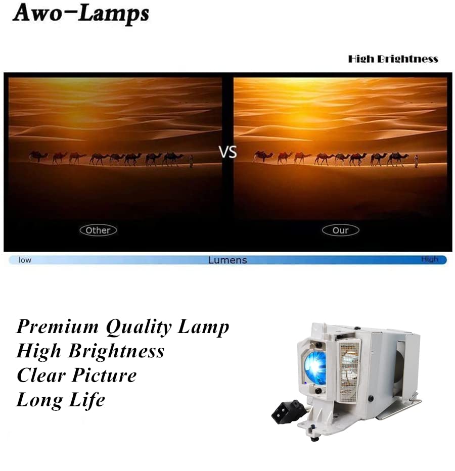AWO Original P-VIP190W Lamp Bulb for BL-FP190E/BL-FP190D/BL-FP195A/BL-FP195B/NP36LP with Housing for OPTOMA HD141X HD26 DS319 DS320 GT1080 W316 DH1009