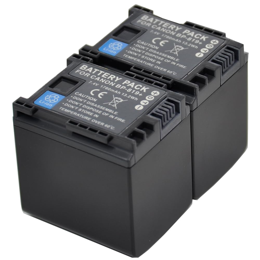 BTBAI Compatible bp-819 Battery for bp-809 bp-827 Digital Camera Video Camcorder (2X Battery)