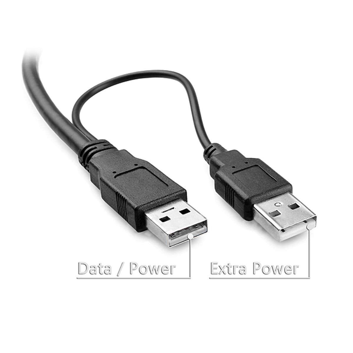 chenyang Dual USB 2.0 Male to Standard B Male Y Cable Support 5V Power for Printer Scanner External Hard Disk Drive