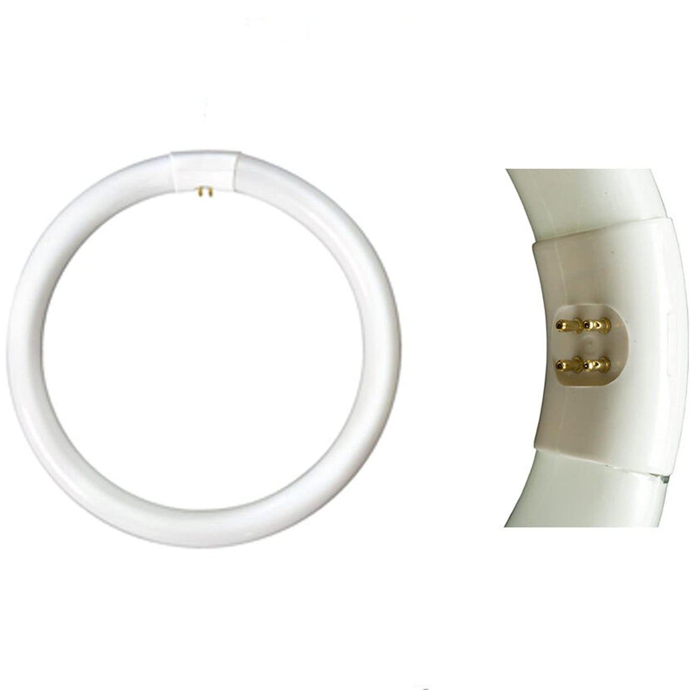Sylvania 20148 - FC8T9/CW TUFFCOAT SYLVANIA BRAND Circular T9 Fluorescent Tube Light Bulb (8" diameter, 22 watts)