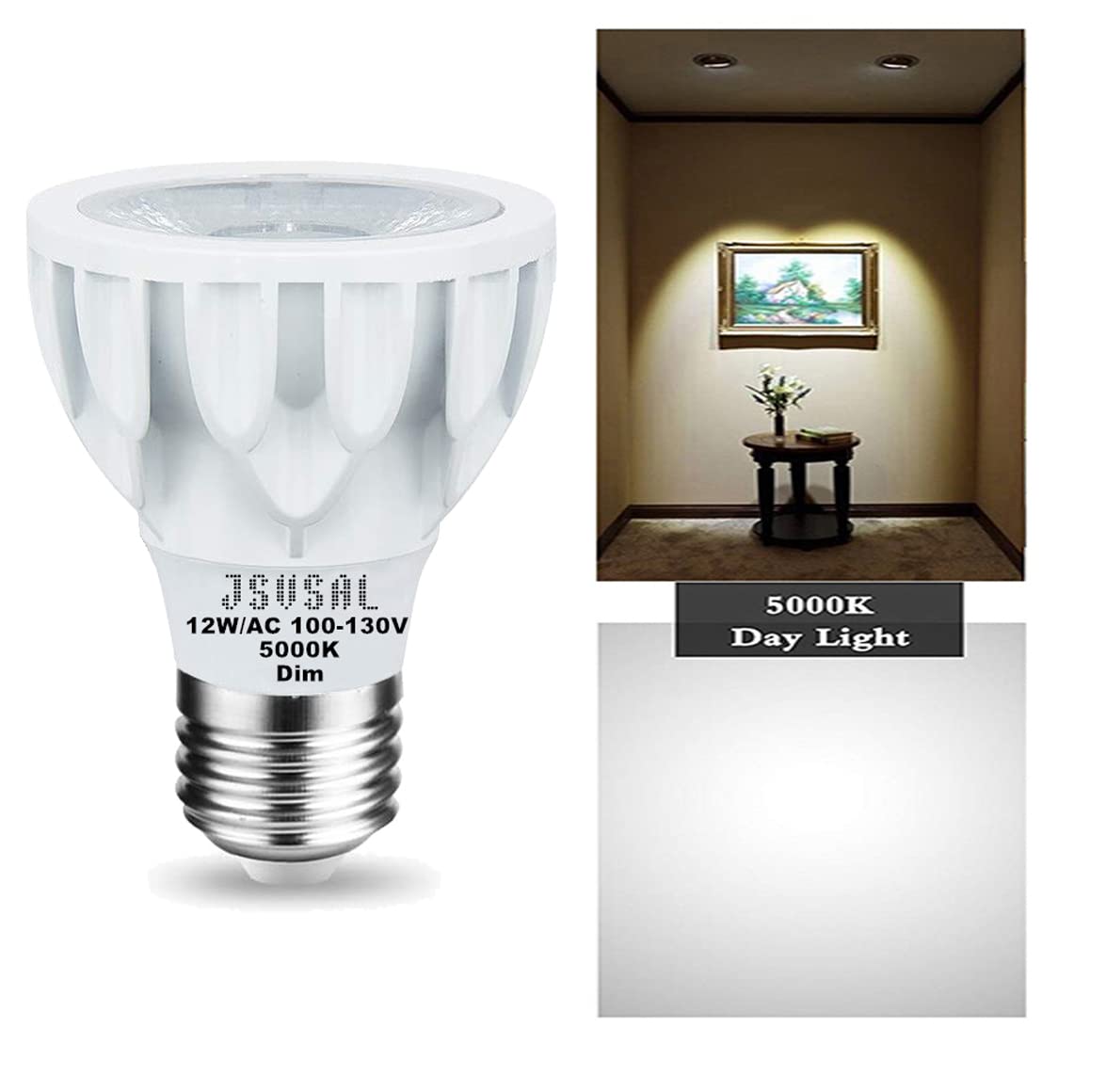 JSVSAL PAR20 LED Bulb,Daylight White 5000K,12W AC 120V,Dimmable,2-Pack