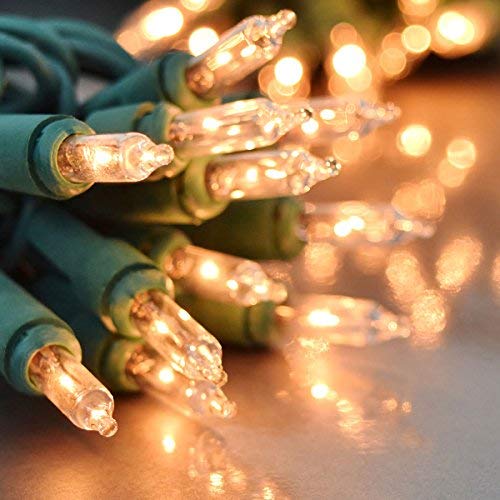 Holiday Essence Clear Christmas Lights Green Wire, 100 Incandescent Mini String Lights Set for Indoor Outdoor Holiday Lighting Decoration, Christmas