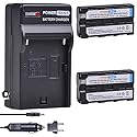 PowerTrust 2-Pack NP-F550 / NP-F570 Battery and Fast Charger for Sony NP-F330 NP-F530 NP-F570 NP-F730 NP-F750 Hi-8 GV-D200 D800 TRV81 CCD-SC55