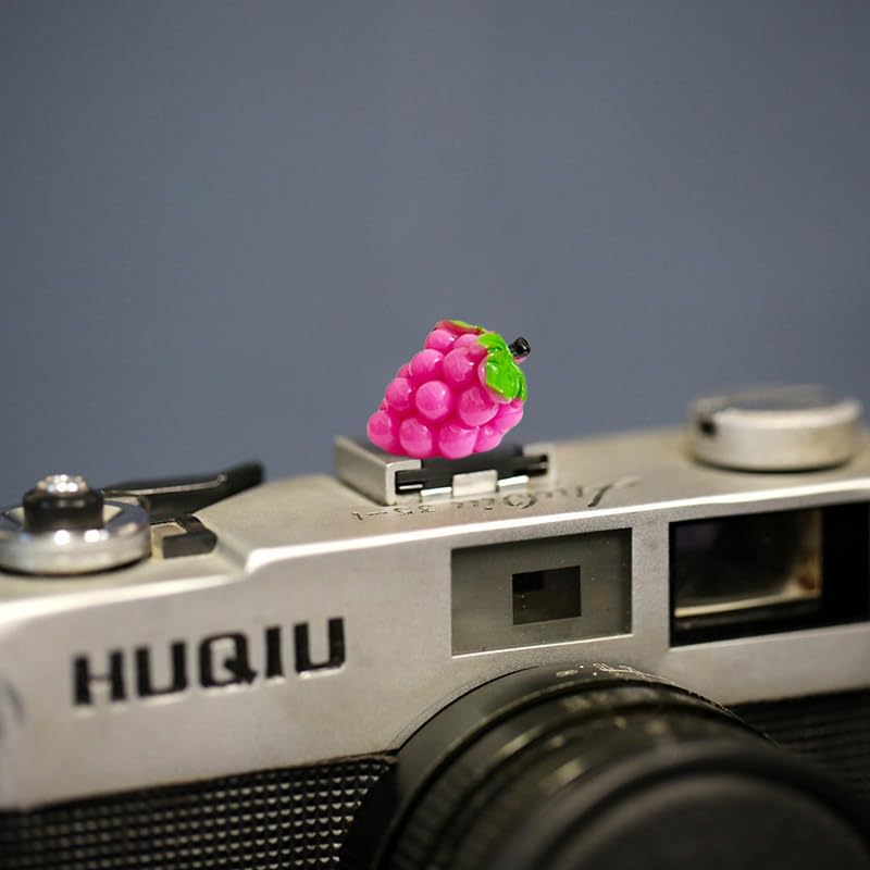 Camera Hot Shoe Cover, Cute Hot Shoe Cap, Hot Shoe Protector Compatible with Sony Fujifilm Fuji Canon Nikon Pentax Leical Panasonic (2pcs Grape Peach)
