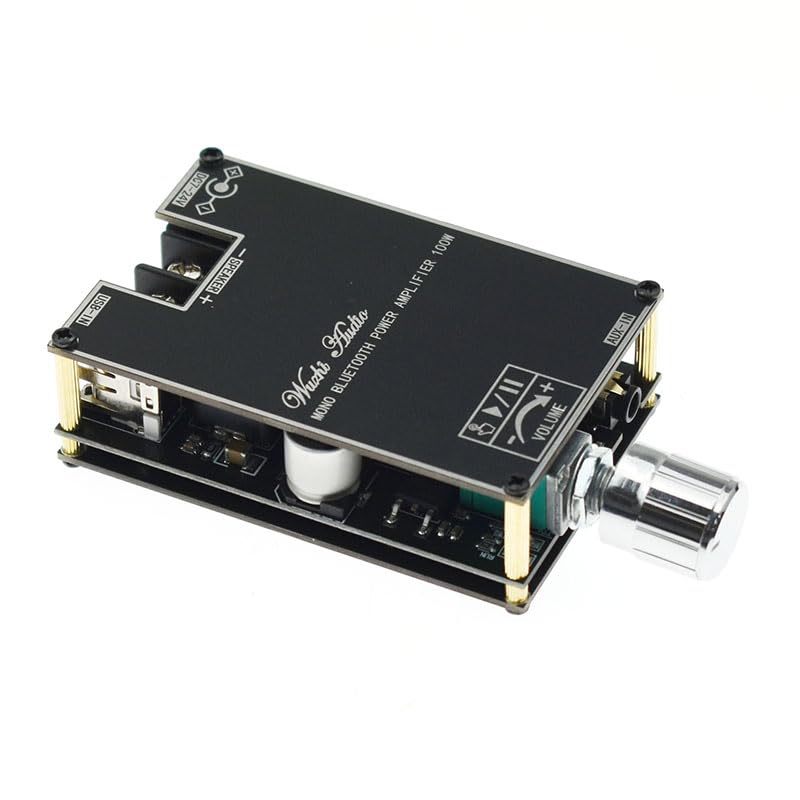 YOURRYONG US 2pcs 100W Audio Amplifier Module