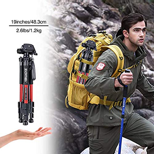 55" Tripod Q111 Travel Camera Tripod with 3-Way Pan Head and Phone Holder Mount for Gopro,Projector,Smartphones Webcam,Spotting Scopesto Live