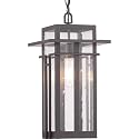 Progress Lighting Boxwood Collection 1-Light Clear Seeded Glass Craftsman Outdoor Hanging Lantern Light Antique Bronze