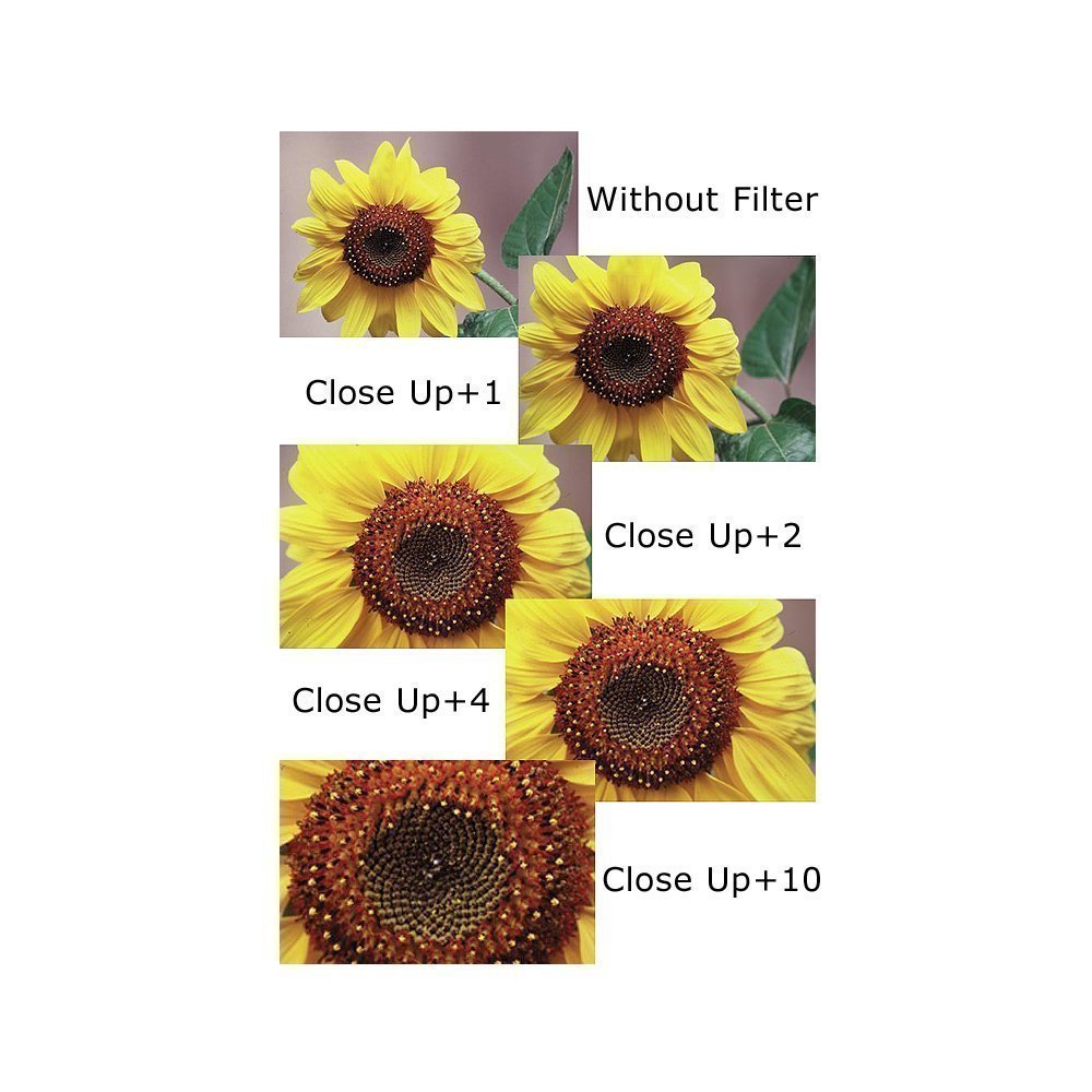 55mm and 58mm Close-Up Filter Set (+1, +2, +4 and +10 Diopters) Magnification Kit for Nikon D5600, D3400 DSLR Camera with Nikon 18-55mm f/3.5-5.6G VR