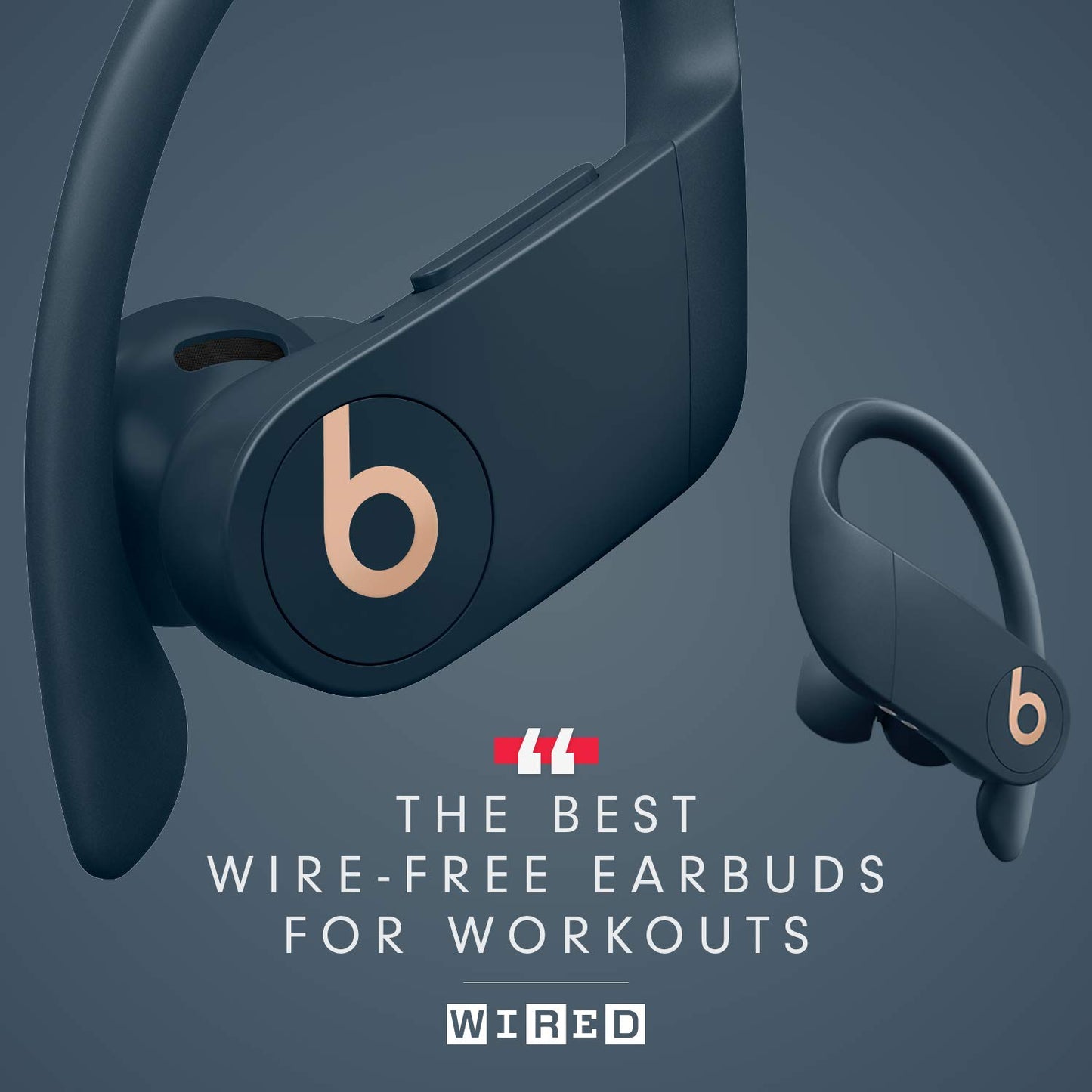 Beats Powerbeats Pro Wireless Earbuds - Apple H1 Headphone Chip, Class 1 Bluetooth Headphones, 9 Hours of Listening Time, Sweat Resistant, Built-in