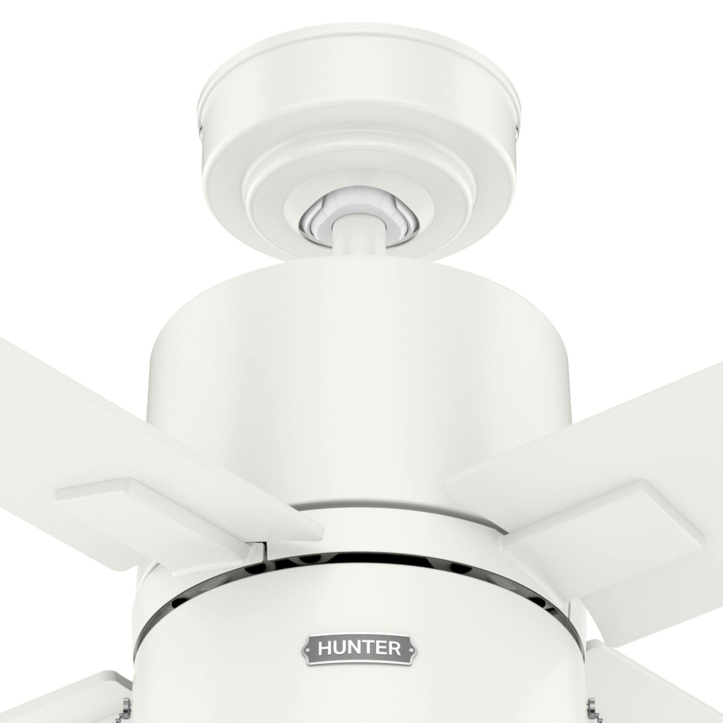 Hunter Fan 42 Inch Casual Fresh White Finish Indoor Ceiling Fan With LED Light Kit and Pull Chain (Renewed)