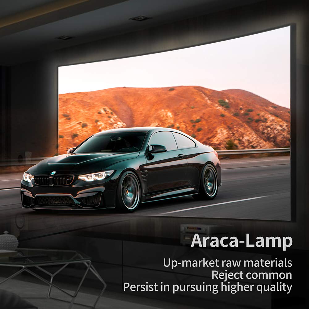 Araca RLC-109 (OEM Original Bulb Inside) Projector Lamp with Housing for Viewsonic PA503W PG603W PS501W PS600W VS16973 VS16977 Replacement Projector