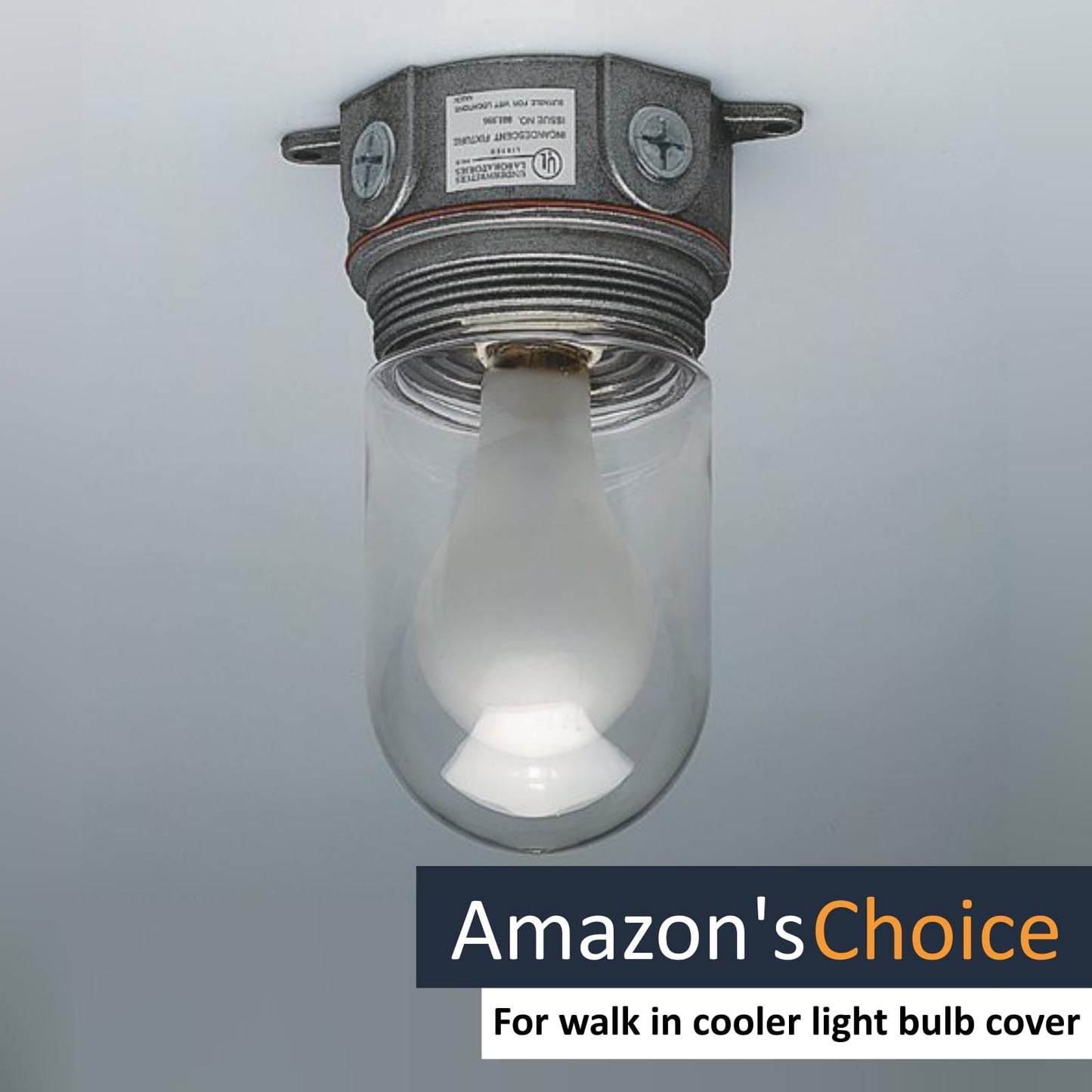 Light Bulb Cover, Sturdy Clear Glass Light Bulb Protector Cage for Dining Lighting, Outdoor Lights Globe Fixtures Cover, Hood Bulbs Clear Glass Home
