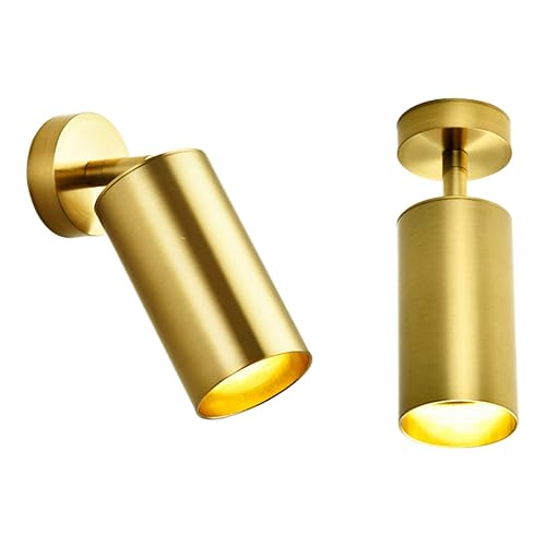 Lywins Gu10 Modern Gold Led Ceiling Spot Light 360° Adjustable Downlight Ceiling Light Clothing Shop Showrooms Exhibition Spotlight Picture Light