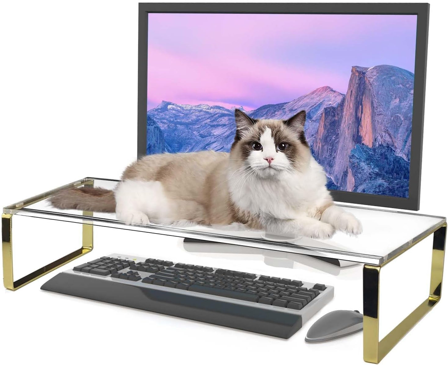 Keyboard Cat Protector - 20" Large Monitor Stand 2 in 1 Clear Acrylic Keyboard Cover Long Acrylic Monitor Stand Keyboard Protective Cover for Desk 108