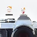 Camera Hot Shoe Cover, Cute Hot Shoe Cap, Hot Shoe Protector Compatible with Sony Fujifilm Fuji Canon Nikon Pentax Leical Panasonic (Lucky Cat)