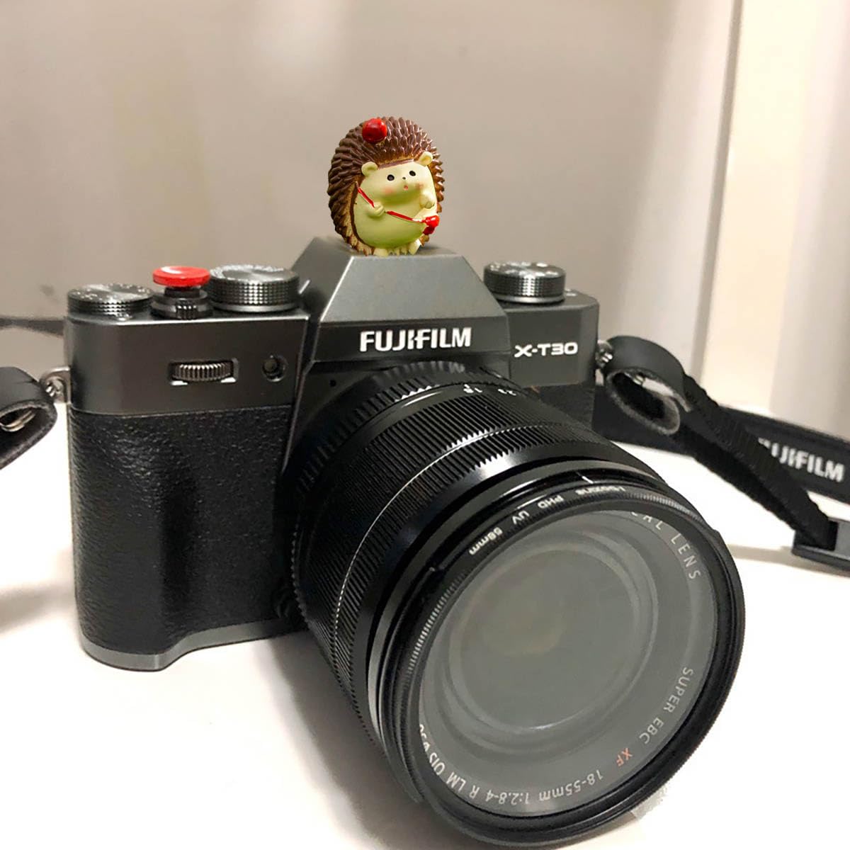 Camera Hot Shoe Cover, Cute Hot Shoe Cap, Hot Shoe Protector Compatible with Sony Fujifilm Fuji Canon Nikon Pentax Leical Panasonic (2pcs Hedgehog)
