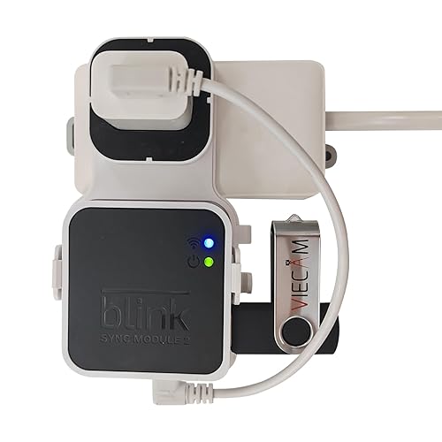 VIECAM 128GB USB Flash Drive and Outlet Wall Mount for Blink Sync Module 2: Space-Saving and Easy-Move Mount Bracket Holder for Blink Outdoor Indoor