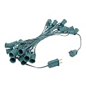 Novelty Lights 25 Foot String Light Set - Indoor/Outdoor Stringer Set for Christmas, Wedding Decor, Patios, & More - C9/E17 Intermediate Base (Green