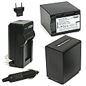 Wasabi Power Battery (2-Pack) and Charger for Sony NP-FV100 and Sony DCR-SR15, SR21, SR68, SR88, SX15, SX21, SX44, SX45, SX63, SX65, SX83, SX85