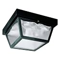 Westinghouse 6682300 Traditional Two-Light Outdoor Flush-Mount Fixture, Black Finish on Polypropylene, Frosted Glass Panels,White
