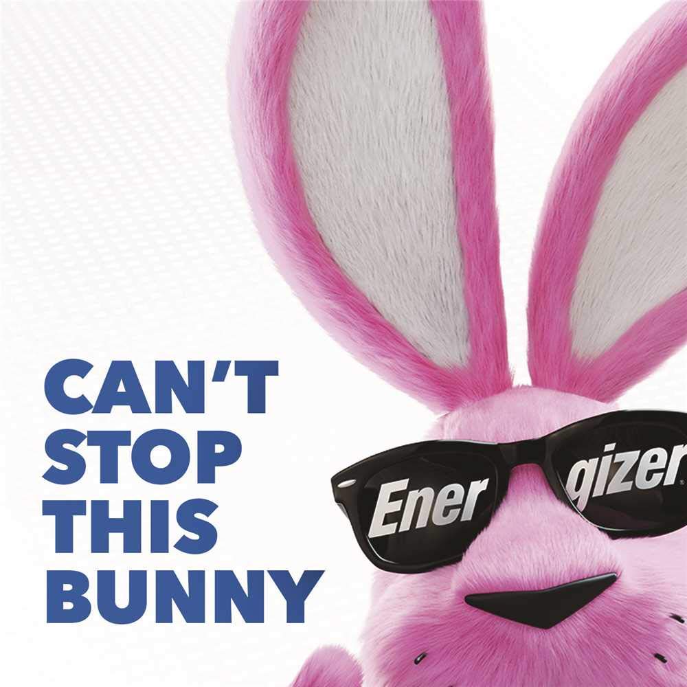 Energizer® Photo Ultimate Lithium AAA Batteries, Pack of 4