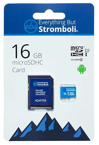Everything But Stromboli 16GB MicroSD Memory Card for Kids Camera Class 10 U1 UHS-1 SDHC 16G Micro SD Card with Adapter