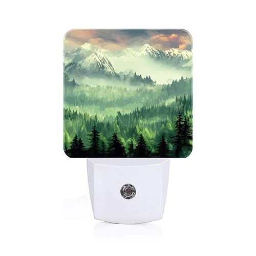 FSHVQKD Mountain Forest Landscape Painting Night Light,Plug Into Wall Decor for Stairway,Hallway,Kitchen,Dusk to Dawn Sensor Nightlights