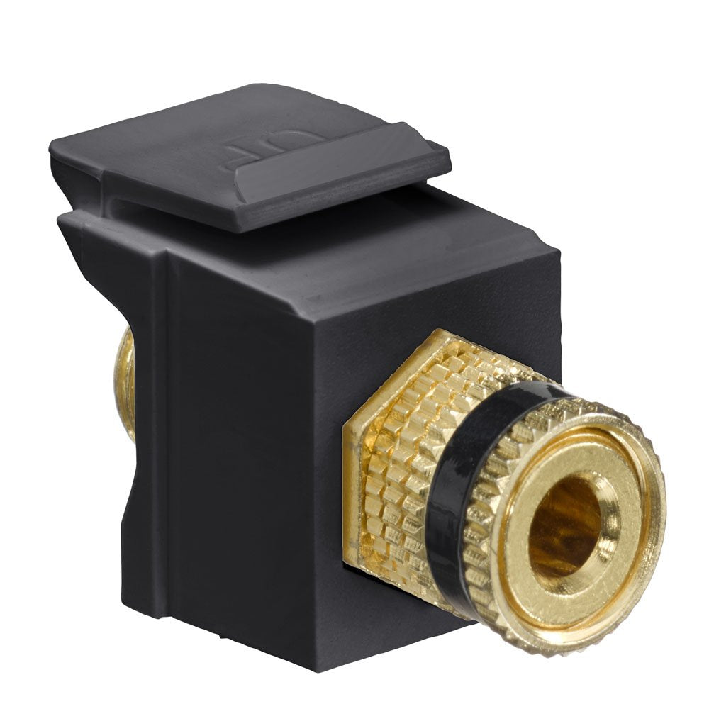 Leviton QuickPort Binding Post Adapter with Black Stripe, 40833-BEE, Black