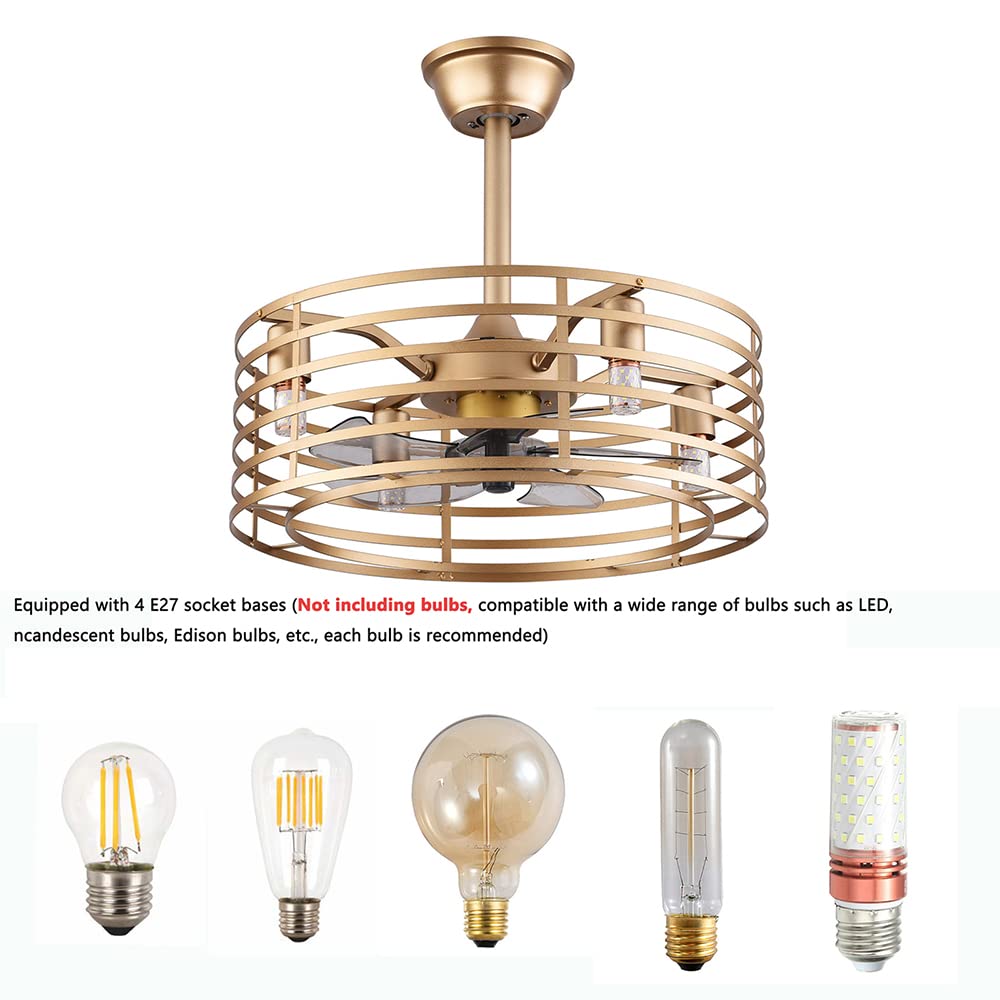 NOLANTISI 20 Inch Caged Ceiling Fan with 3 Speeds Adjustable Light Remote Control, Gold Modern Ceiling Fan Light with 5 Enclosed Blades, Quiet Ceiling