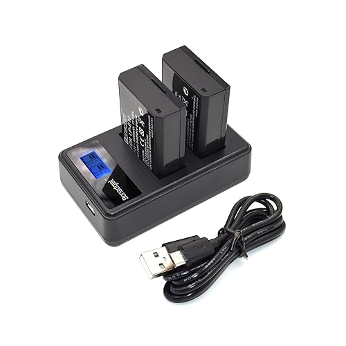 2Pack LP-E10 Battery and Charger for Canon Battery EOS Rebel T3 T5 T6 T7 T100 Kiss X50 X70 X80 X90 1100D 1200D 1300D 1500D 4000D for Canon Battery