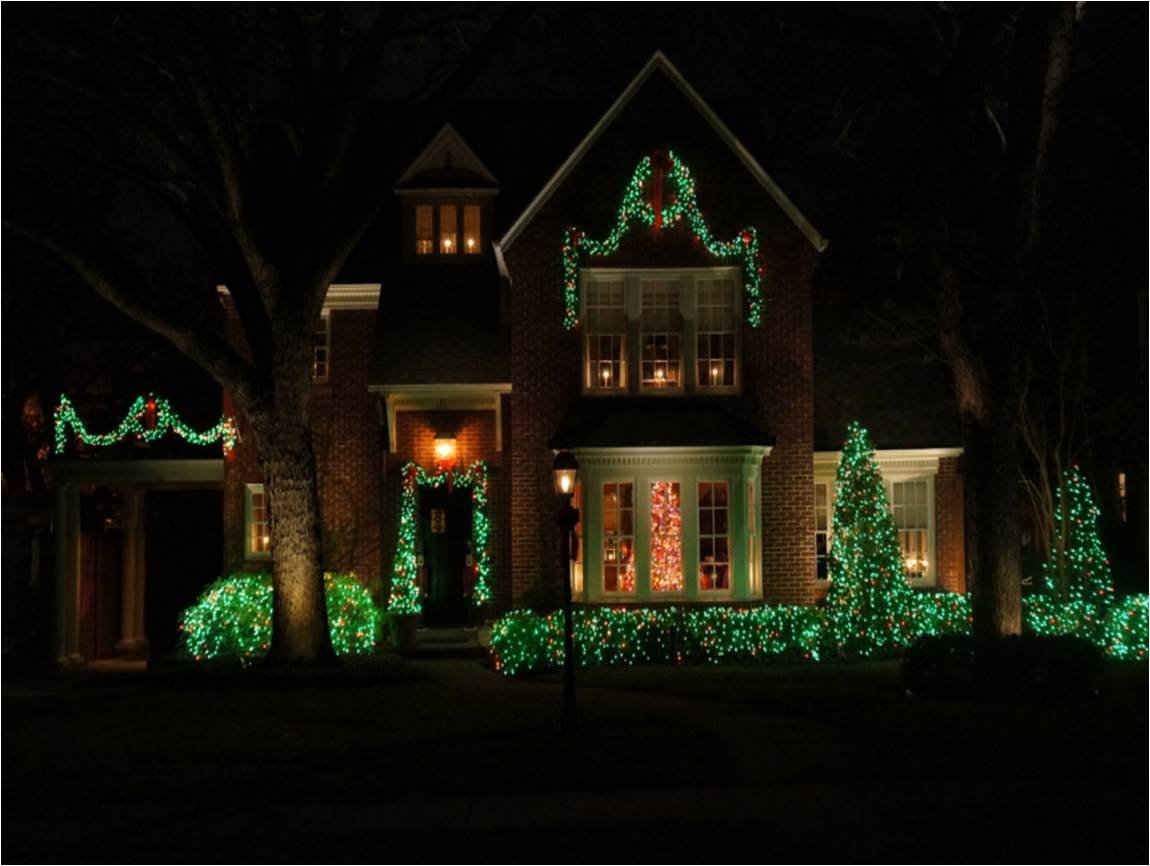Holiday Essence - 100 Green Christmas Light Set String Lights with Green Wire Professional Grade Indoor and Outdoor Use Decorate Christmas Trees