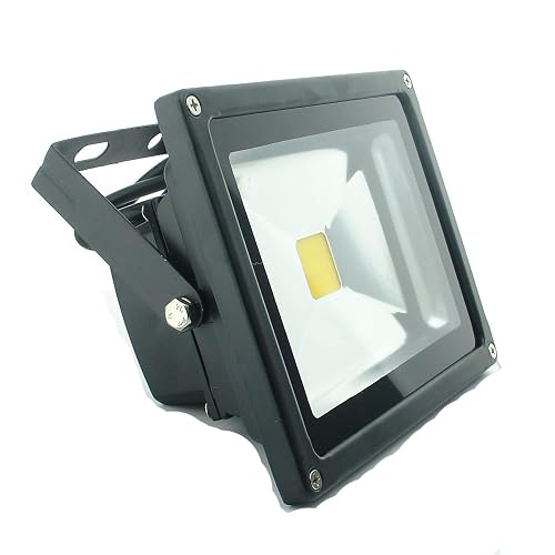 QUANS 20W 12V 24V AC DC Ultra Bright White LED Security Wash Flood Light Floodlight Lamp High Power Black Case Waterproof IP65 Superbright (Warm