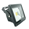 QUANS 20W 12V 24V AC DC Ultra Bright White LED Security Wash Flood Light Floodlight Lamp High Power Black Case Waterproof IP65 Superbright (Warm