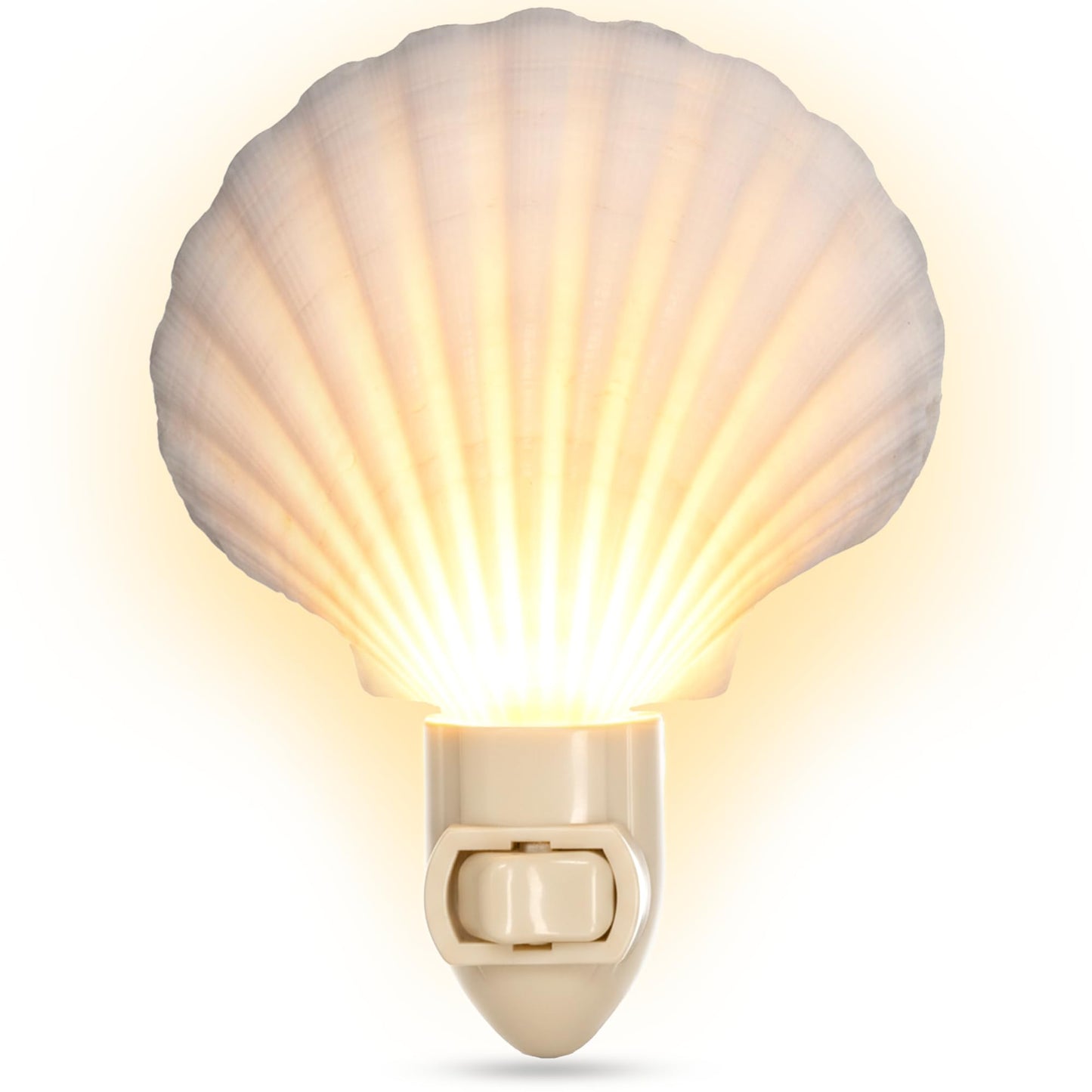 Nautical Crush Trading Seashell Night Light - Beach Night Light with White Clam - Shell Light for Bathroom - Sea Shell Lamp - Seashell Lamp Plug Into