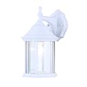 Canarm Classic 1-Light Outdoor Lantern, White Wall Mounted with Clear Beveled Glass Durable Weather-Resistant Outdoor Lighting for Patio, Porch