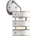 Progress Lighting Gulliver Collection 1-Light Antique Whitewashed Farmhouse Wall Sconce Light, Galvanized Finish