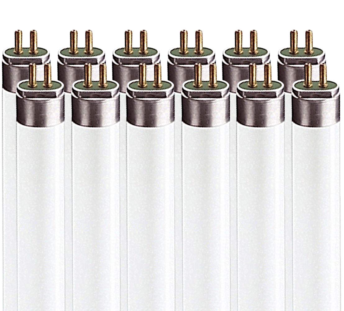 LUXRITE LR20765 (12-Pack) 54-Watt 4 FT T5 High Output Fluorescent Tube Light Bulb, Daylight 6500K, 4200 Lumens, G5 Mini Bi-Pin Base