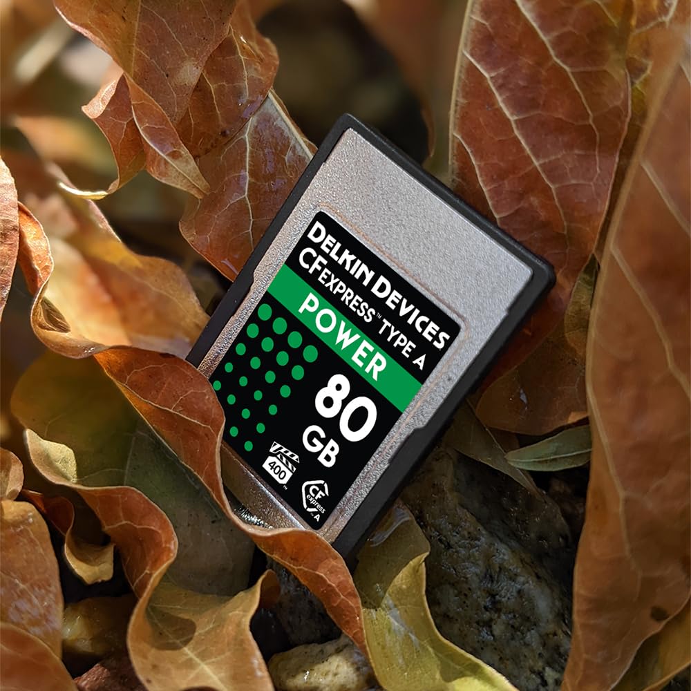 Delkin Devices 80GB Power CFexpress Type A VPG-400 Memory Card - DCFXAPWR80, Silver