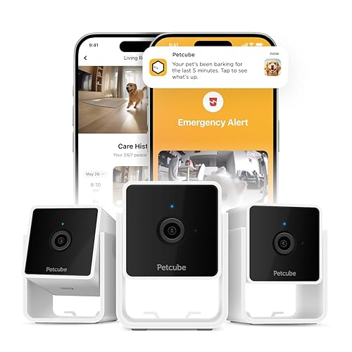Petcube Cam Pack of 3 Indoor Home Security Cameras with 1080p HD Video, 2-Way Audio, Motion Detection, and Phone App, Night Vision Wi-Fi Camera