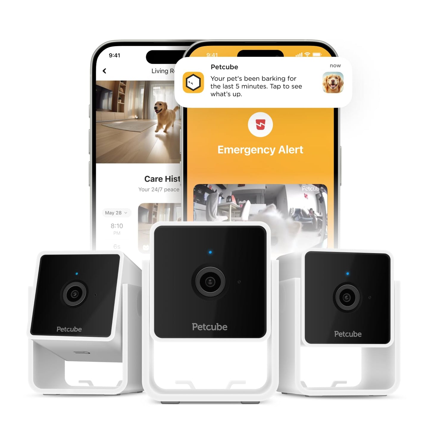 Petcube Cam Pack of 3 Indoor Home Security Cameras with 1080p HD Video, 2-Way Audio, Motion Detection, and Phone App, Night Vision Wi-Fi Camera