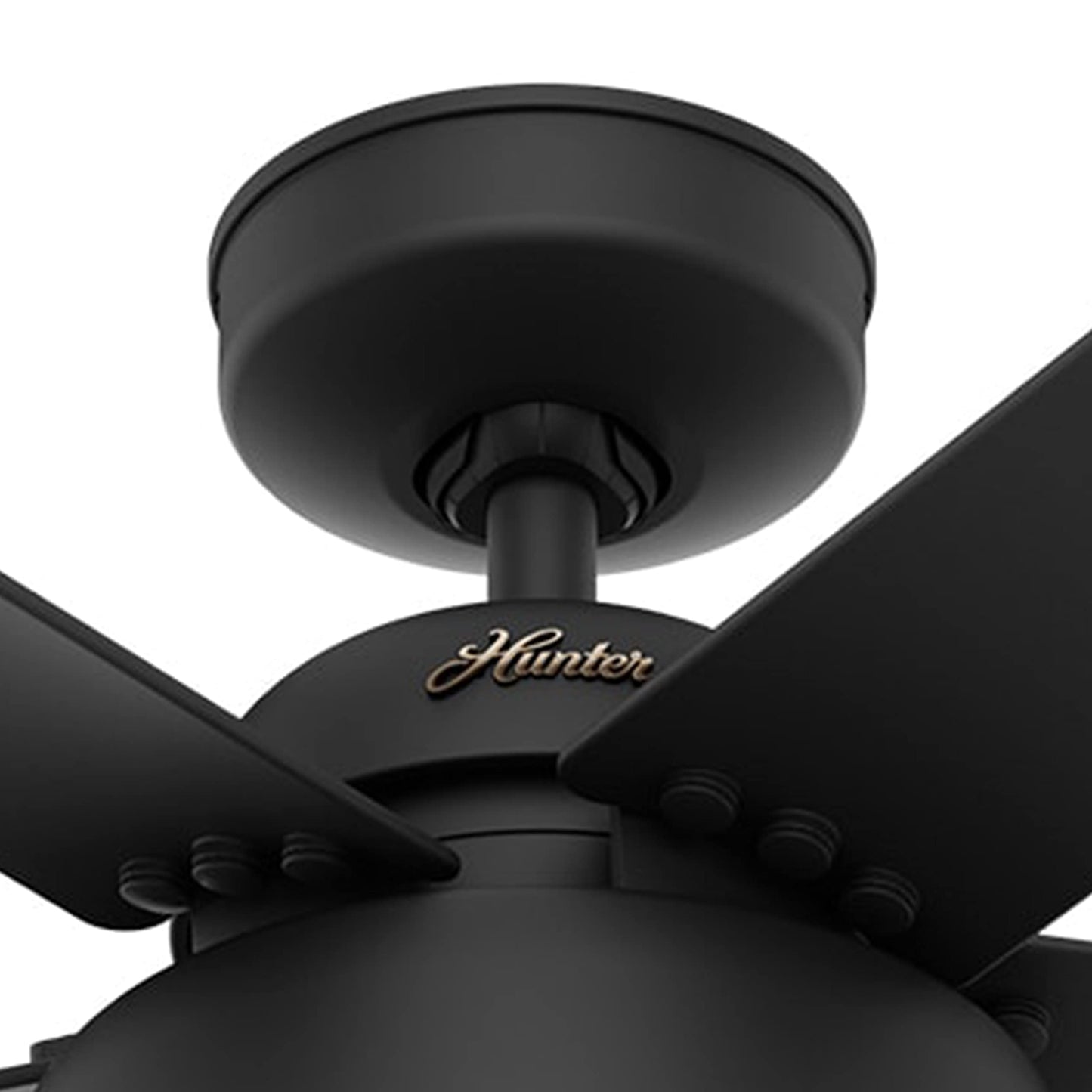 Hunter Fan 52 inch Casual Matte Black Outdoor Ceiling Fan with Light Kit and Remote Control (Renewed)
